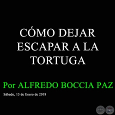 CMO DEJAR ESCAPAR A LA TORTUGA - Por ALFREDO BOCCIA PAZ - Sbado, 13 de Enero de 2018